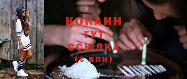 шишки Волосово