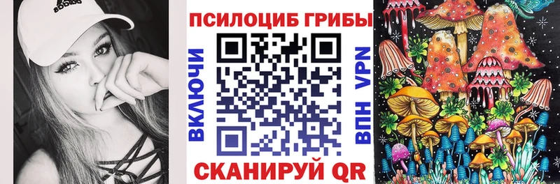 hydra   Перевоз  Галлюциногенные грибы Cubensis 