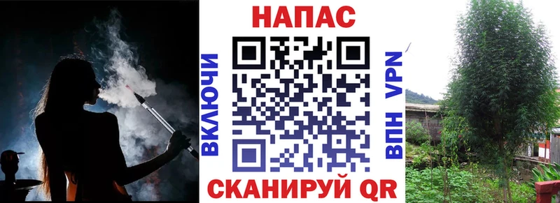 Конопля White Widow  где купить наркоту  Перевоз 